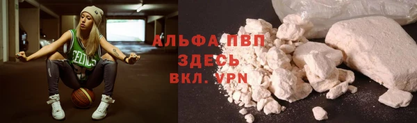 прущие грибы Абаза
