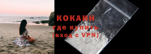 прущие грибы Абаза
