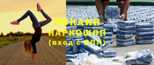 дживик Абинск