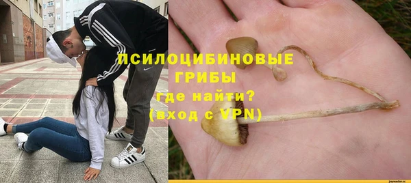 сатива Абдулино