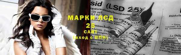 прущие грибы Абаза