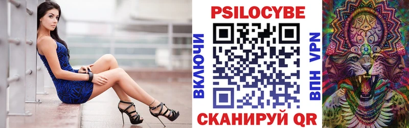 Псилоцибиновые грибы Psilocybe  где продают наркотики  darknet состав  Каргополь  mega зеркало 