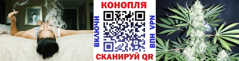 дарнет шоп  Каргополь  Каннабис конопля 